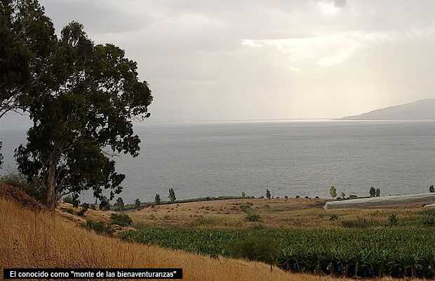 79093E35 B2A8 45AD 96C0 4CD74BB88B7D