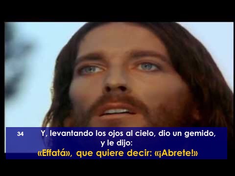 CB27272D E122 4FEC 8E6A FAE4B73A01D5