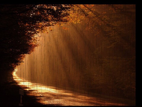 158BEA11 C08D 45CE A894 96946974A7D4