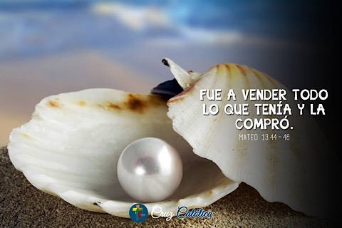 5D233265 6B2E 44BA AFDC F6C3F74A00E1