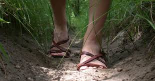 384C53A2 E60C 4901 AA29 BAC4423F1E9E