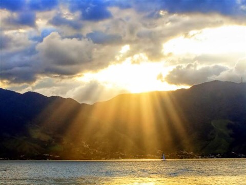 45F8C82B 325C 473D 97F5 44020F90DBFE