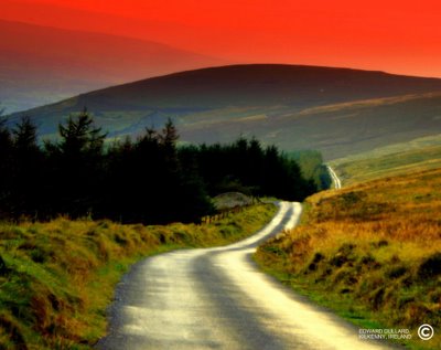 85FF0DB0 E451 402C 92BC 1DA577E6657C