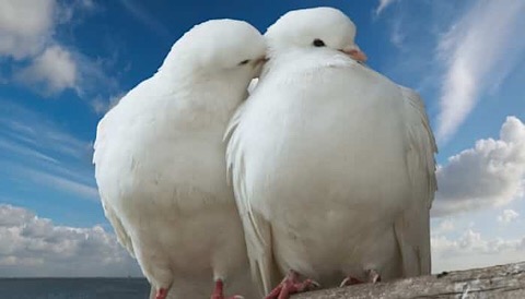 64550F6B 83F7 43E1 8DFC 023F6FC92A4E