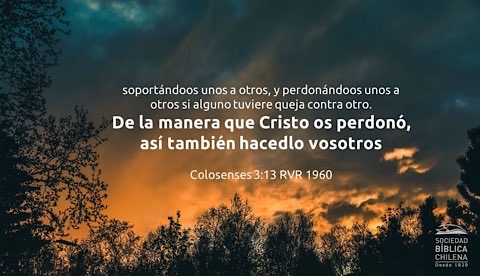 54F9CAD2 D88E 4573 9B06 9D3F4DBA493A