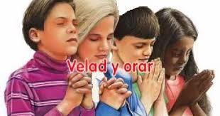 0CD7C12B FE05 4393 A54A 5E2D8B5AD941