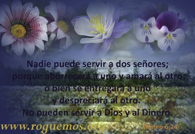 B0C21000 EEA8 45E8 A802 4CA6E5CF120A