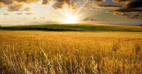 6E566FC5 B1A3 4A64 A05B 09D9B2A866AD