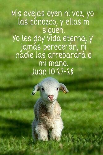 5315E60F 16F3 4480 9DE4 D24E2C0743DC