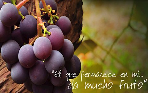 9AF9B030 CE0B 4DE8 B444 C49D96A16932