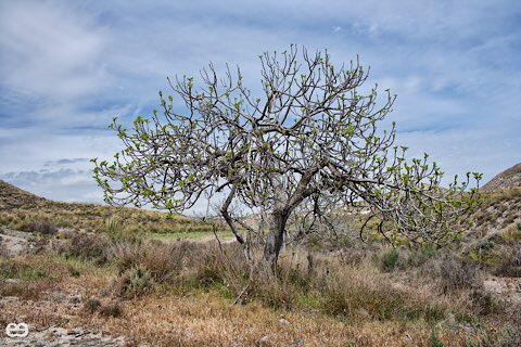 9A47C897 6E70 47CA B306 079D596FE210