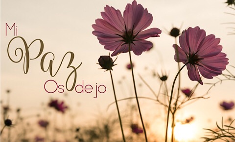 DDE5B349 71B1 4CD8 8B95 3BCB35AB44AF