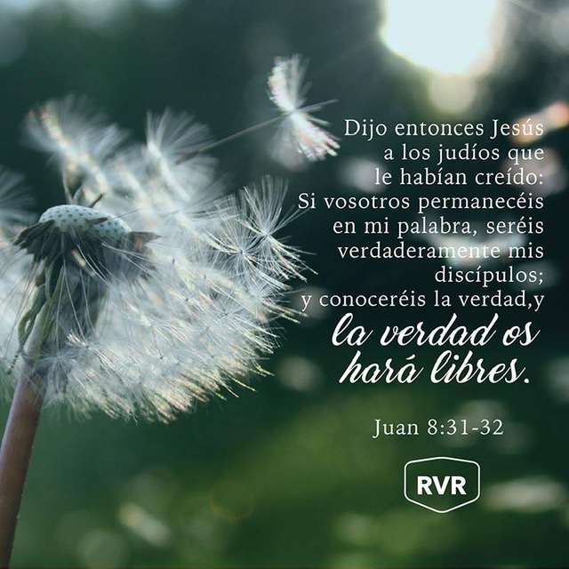 LA VERDAD OS HARÁ LIBRES LA VERDAD OS HARÁ LIBRES